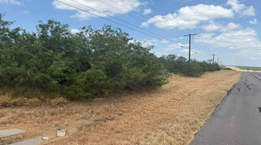 ABST 236 POR 51, Laredo, Texas 78046, ,Land,For Sale,ABST 236 POR 51,20263852