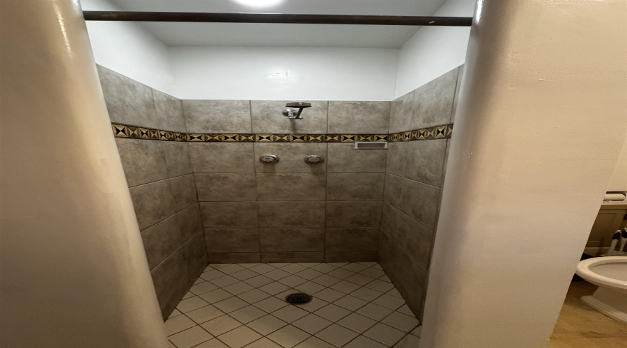 Upstairs Master bathroom shower