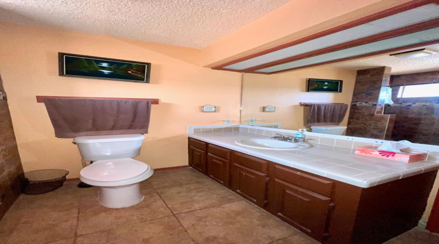 1505 Palmer Dr, Laredo, Texas 78045, 5 Bedrooms Bedrooms, 11 Rooms Rooms,6 BathroomsBathrooms,Residential,For Sale,1505 Palmer Dr,20263918
