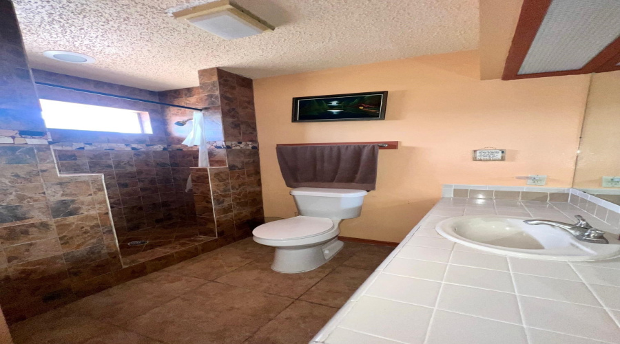 1505 Palmer Dr, Laredo, Texas 78045, 5 Bedrooms Bedrooms, 11 Rooms Rooms,6 BathroomsBathrooms,Residential,For Sale,1505 Palmer Dr,20263918