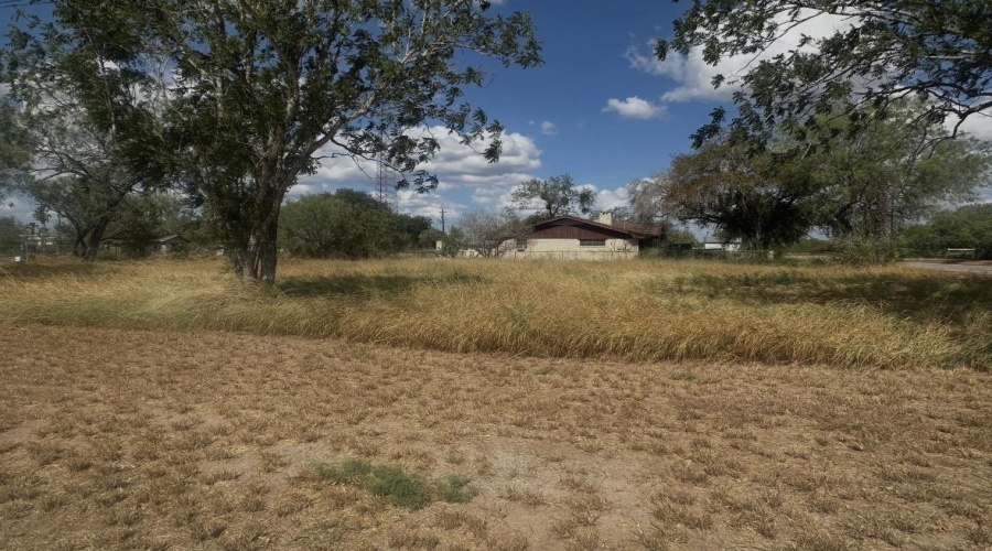 303 E David, Hebbronville, Texas 78361, ,Land,For Sale,303 E David,20263922