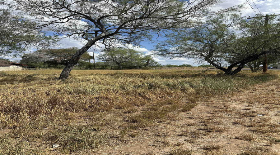 303 E David, Hebbronville, Texas 78361, ,Land,For Sale,303 E David,20263922