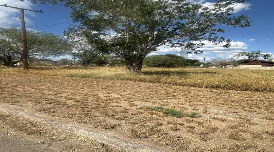 303 E David, Hebbronville, Texas 78361, ,Land,For Sale,303 E David,20263922