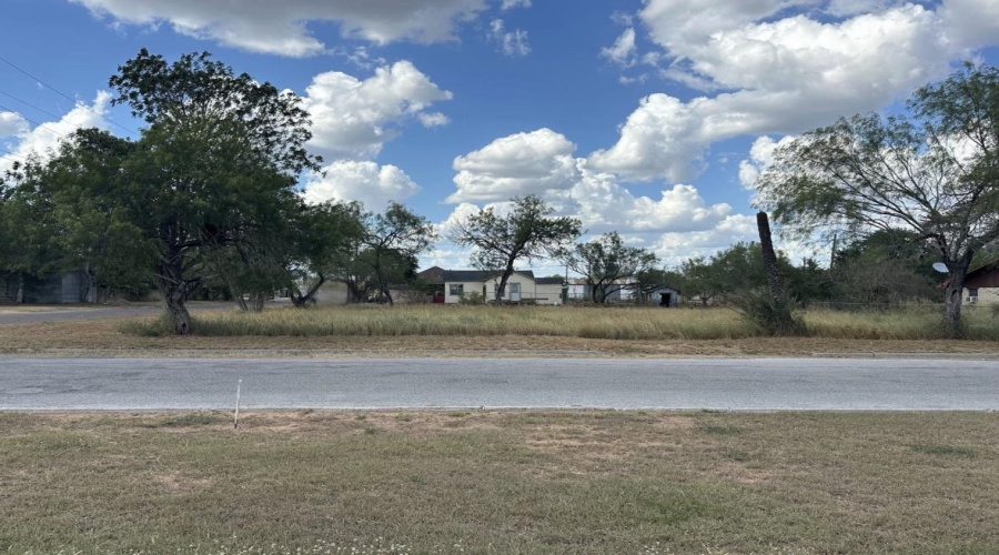 303 E David, Hebbronville, Texas 78361, ,Land,For Sale,303 E David,20263922