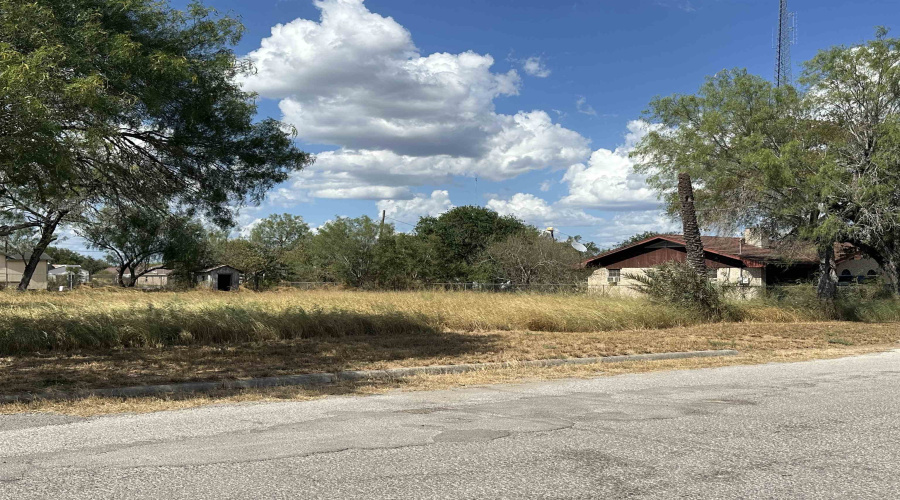 303 E David, Hebbronville, Texas 78361, ,Land,For Sale,303 E David,20263922