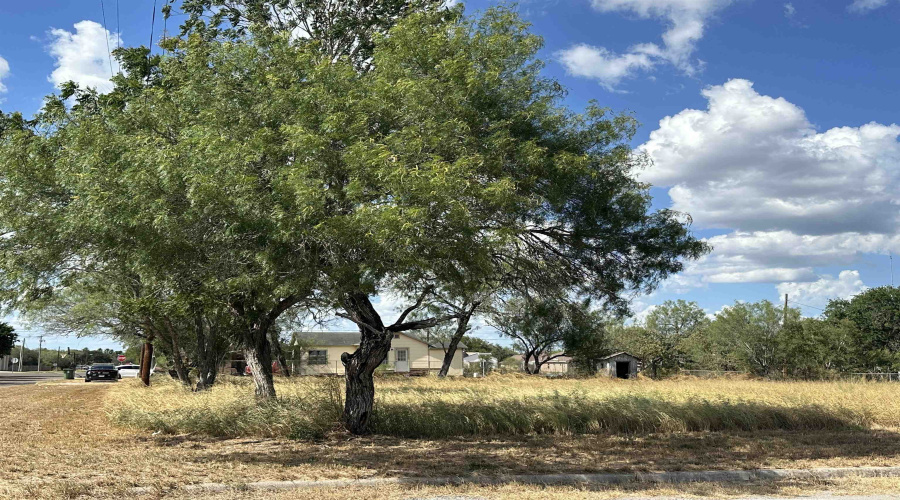 303 E David, Hebbronville, Texas 78361, ,Land,For Sale,303 E David,20263922