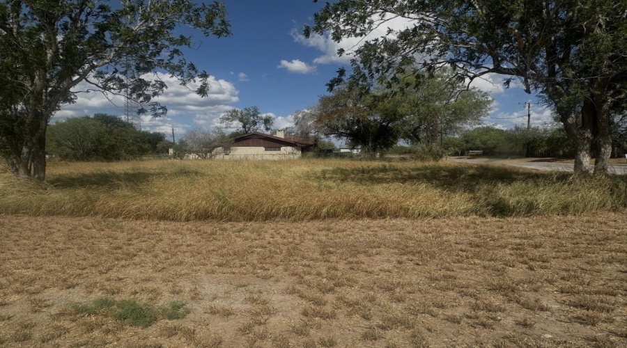 303 E David, Hebbronville, Texas 78361, ,Land,For Sale,303 E David,20263922