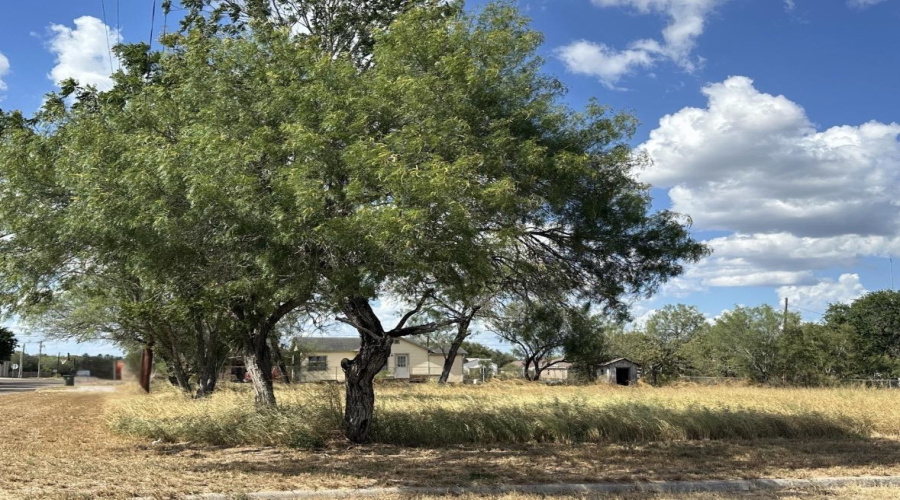 303 E David, Hebbronville, Texas 78361, ,Land,For Sale,303 E David,20263922