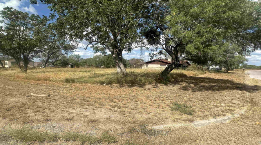 303 E David, Hebbronville, Texas 78361, ,Land,For Sale,303 E David,20263922
