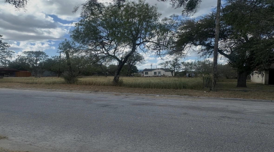 303 E David, Hebbronville, Texas 78361, ,Land,For Sale,303 E David,20263922