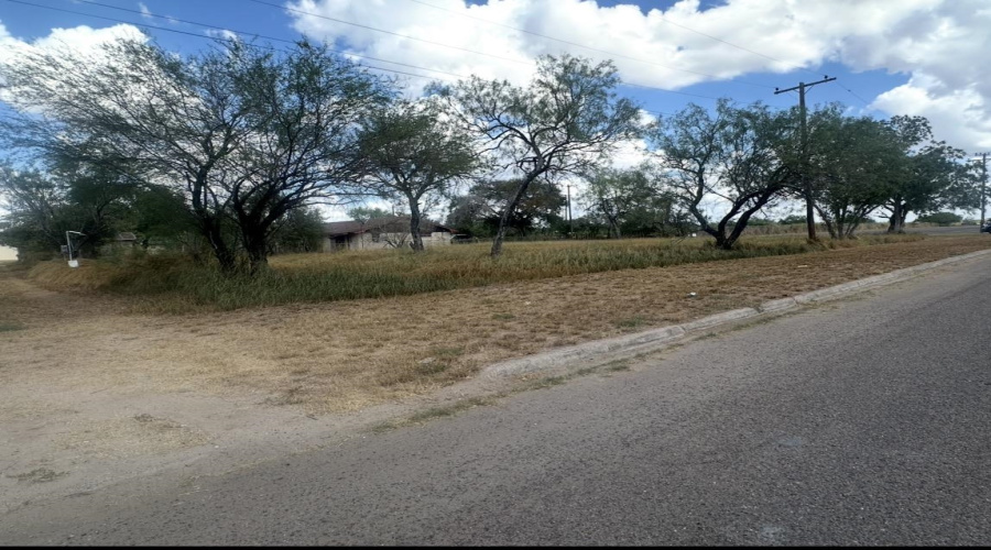 303 E David, Hebbronville, Texas 78361, ,Land,For Sale,303 E David,20263922