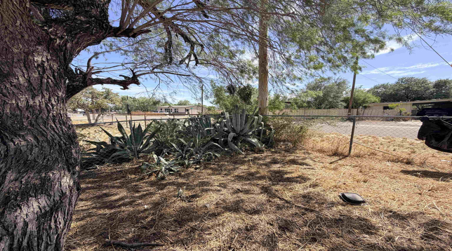 1902 Col. Antonio Zapata Avenue, Zapata, Texas 78076, ,Land,For Sale,1902 Col. Antonio Zapata Avenue,20263943