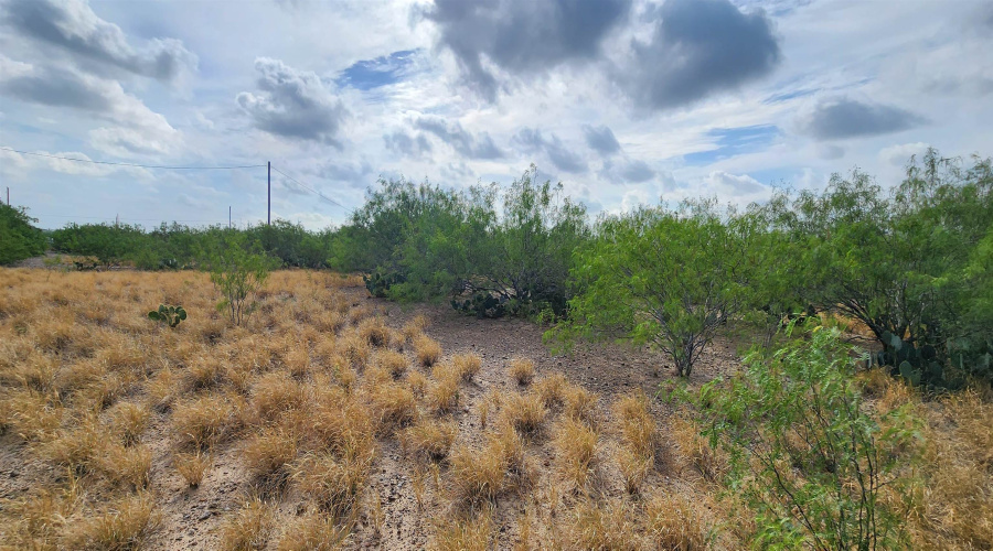 146 Doyle St., Zapata, Texas 78076, ,Land,For Sale,146 Doyle St.,20263952