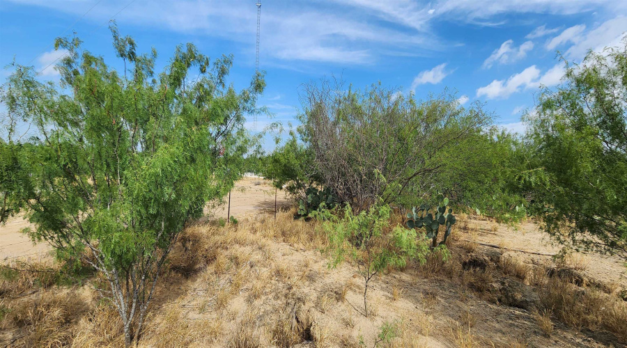 146 Doyle St., Zapata, Texas 78076, ,Land,For Sale,146 Doyle St.,20263952