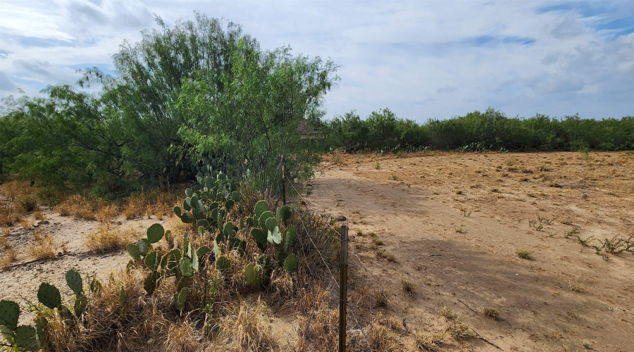 146 Doyle St., Zapata, Texas 78076, ,Land,For Sale,146 Doyle St.,20263952