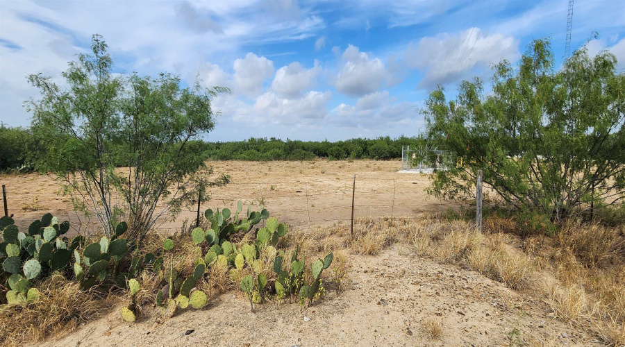 146 Doyle St., Zapata, Texas 78076, ,Land,For Sale,146 Doyle St.,20263952