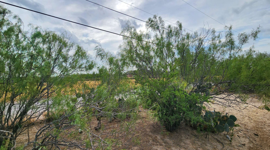 146 Doyle St., Zapata, Texas 78076, ,Land,For Sale,146 Doyle St.,20263952