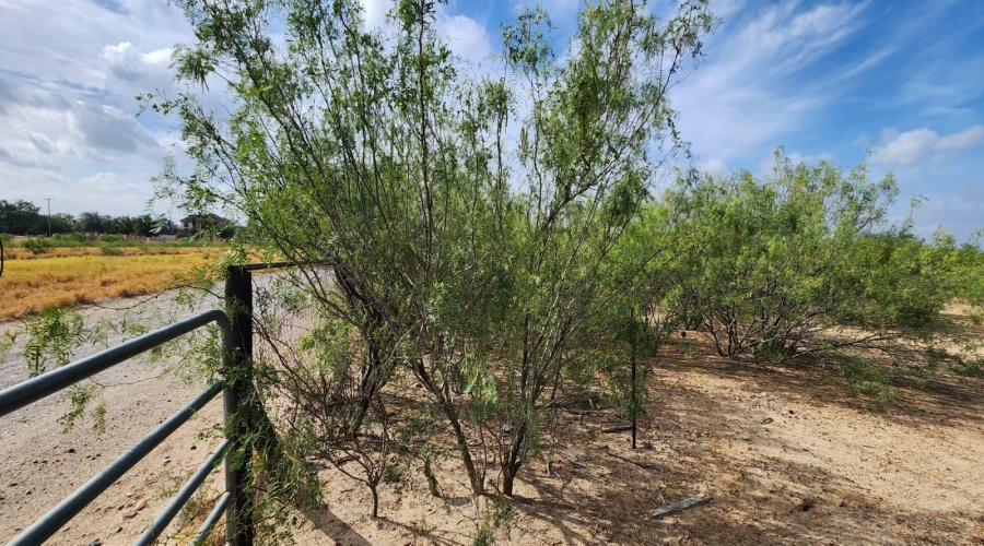146 Doyle St., Zapata, Texas 78076, ,Land,For Sale,146 Doyle St.,20263952