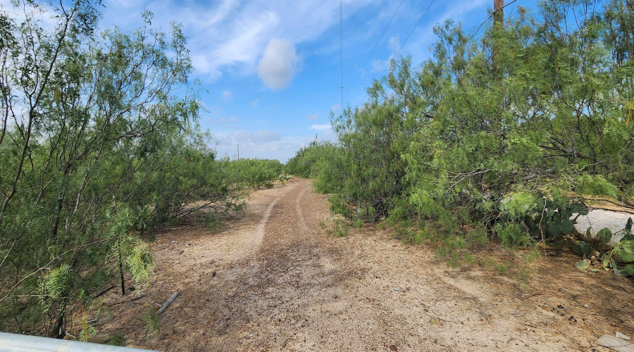 146 Doyle St., Zapata, Texas 78076, ,Land,For Sale,146 Doyle St.,20263952