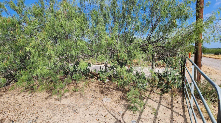 146 Doyle St., Zapata, Texas 78076, ,Land,For Sale,146 Doyle St.,20263952