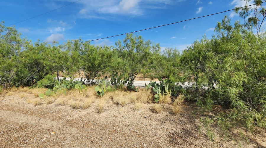 146 Doyle St., Zapata, Texas 78076, ,Land,For Sale,146 Doyle St.,20263952