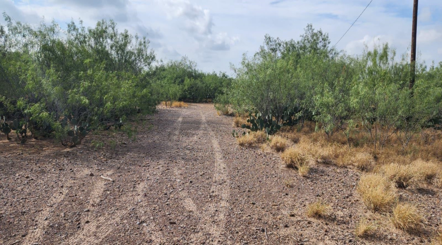 146 Doyle St., Zapata, Texas 78076, ,Land,For Sale,146 Doyle St.,20263952