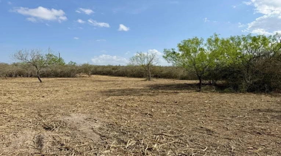 0 A-212 GT J & V FLORES, San Diego, Texas 78384, ,Land,For Sale,0 A-212 GT J & V FLORES,20263965