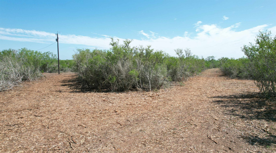 0 A-212 GT J & V FLORES, San Diego, Texas 78384, ,Land,For Sale,0 A-212 GT J & V FLORES,20263965