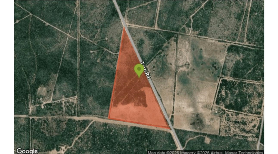 0 A-212 GT J & V FLORES, San Diego, Texas 78384, ,Land,For Sale,0 A-212 GT J & V FLORES,20263965