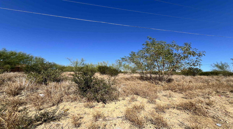 201 Madison Ave., Zapata, Texas 78076, ,Land,For Sale,201 Madison Ave.,20260546