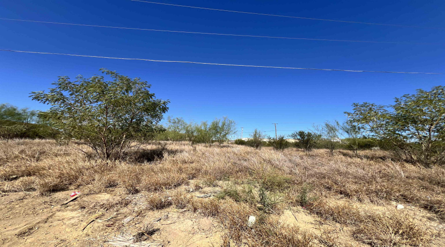201 Madison Ave., Zapata, Texas 78076, ,Land,For Sale,201 Madison Ave.,20260546