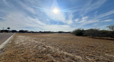 2247 County Rd, Zapata, Texas 78076, ,Land,For Sale,2247 County Rd,20263974