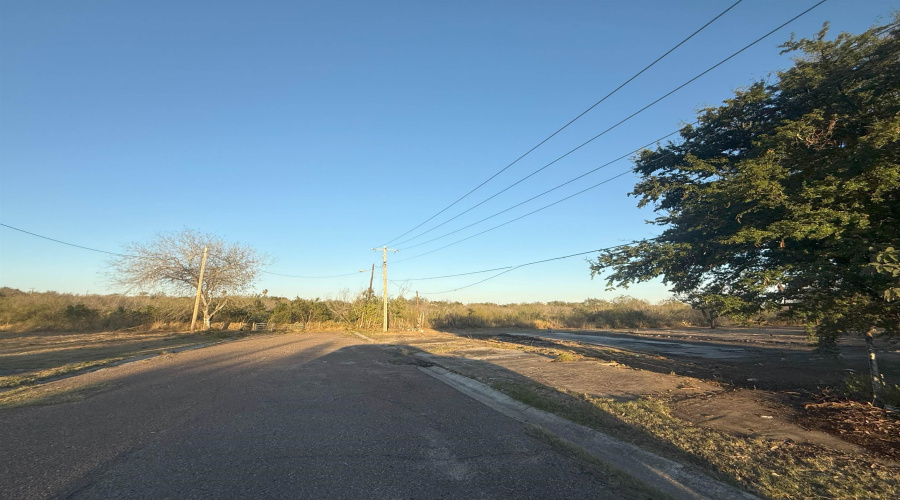 706 E 11th Ave, Zapata, Texas 78076, ,Land,For Sale,706 E 11th Ave,20263976