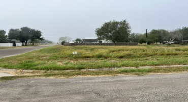 1101 W Viggo St, Hebbronville, Texas 78361, ,Land,For Sale,1101 W Viggo St,20263993