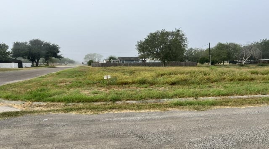 1101 W Viggo St, Hebbronville, Texas 78361, ,Land,For Sale,1101 W Viggo St,20263993
