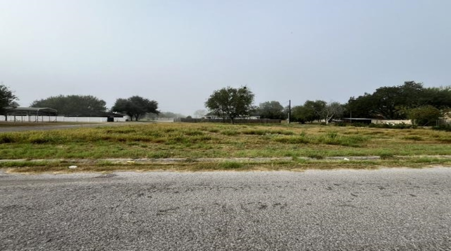 1101 W Viggo St, Hebbronville, Texas 78361, ,Land,For Sale,1101 W Viggo St,20263993