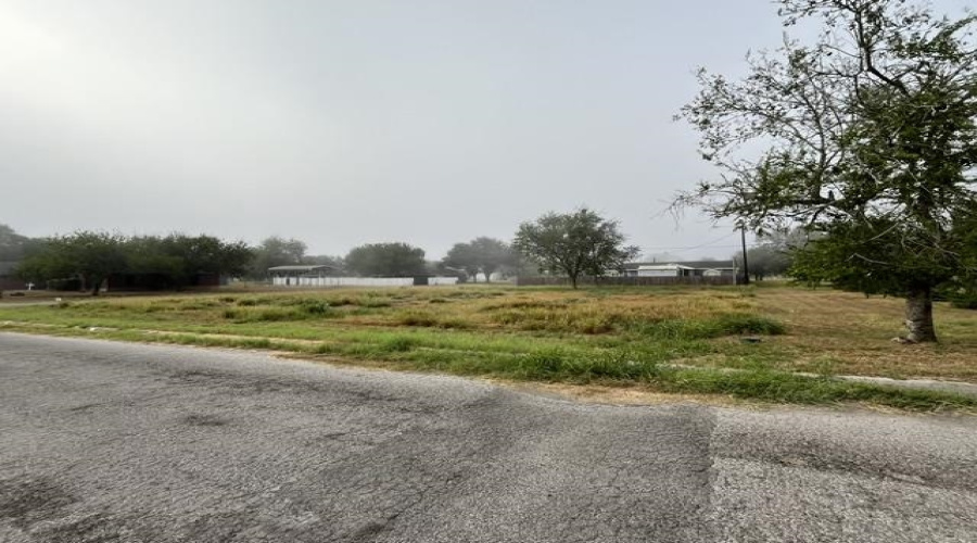 1101 W Viggo St, Hebbronville, Texas 78361, ,Land,For Sale,1101 W Viggo St,20263993