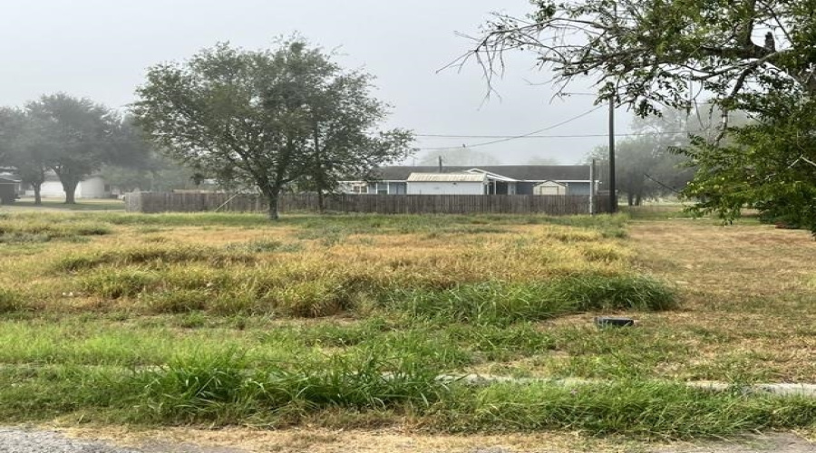 1101 W Viggo St, Hebbronville, Texas 78361, ,Land,For Sale,1101 W Viggo St,20263993