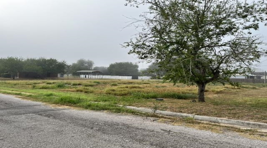 1101 W Viggo St, Hebbronville, Texas 78361, ,Land,For Sale,1101 W Viggo St,20263993