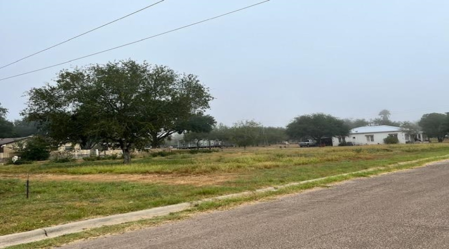 1101 W Viggo St, Hebbronville, Texas 78361, ,Land,For Sale,1101 W Viggo St,20263993