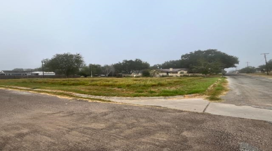 1101 W Viggo St, Hebbronville, Texas 78361, ,Land,For Sale,1101 W Viggo St,20263993