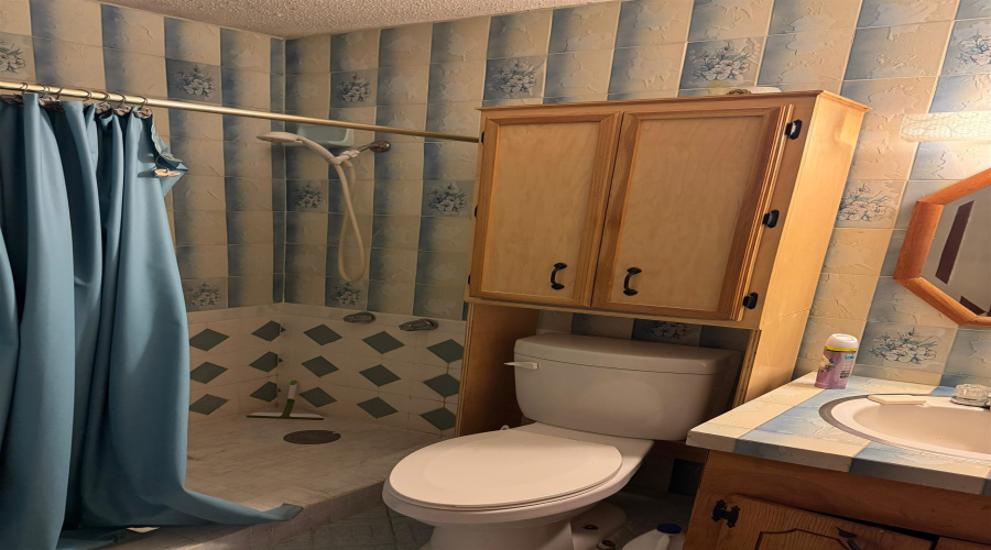 703 W Viggo St, Hebbronville, Texas 78361-4125, 4 Bedrooms Bedrooms, 9 Rooms Rooms,3 BathroomsBathrooms,Residential,For Sale,703 W Viggo St,20263994