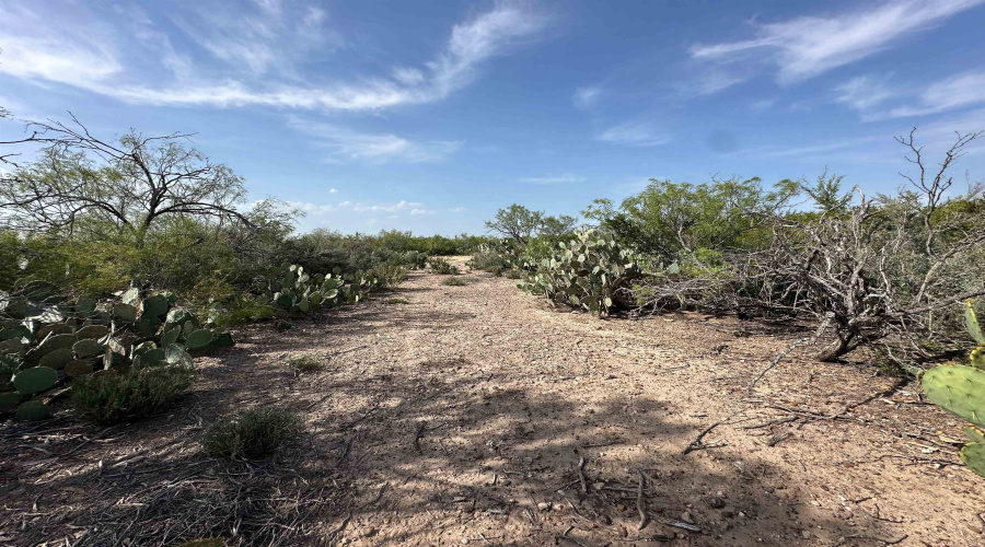 509 RR 7152-A, Laredo, Texas 78041, ,Land,For Sale,509 RR 7152-A,20264004