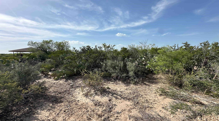 509 RR 7152-A, Laredo, Texas 78041, ,Land,For Sale,509 RR 7152-A,20264004