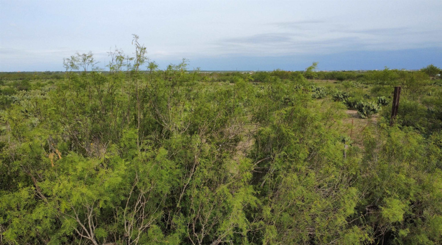 000 Ranch Road 7132D, Laredo, Texas 78041, ,Land,For Sale,000 Ranch Road 7132D,20264035