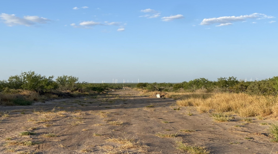 2817 Ranch Rd, San Ygnacio, Texas 78067, ,Land,For Sale,2817 Ranch Rd,20264044