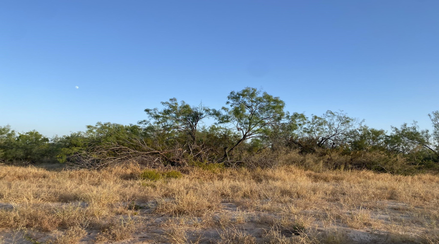 2817 Ranch Rd, San Ygnacio, Texas 78067, ,Land,For Sale,2817 Ranch Rd,20264044
