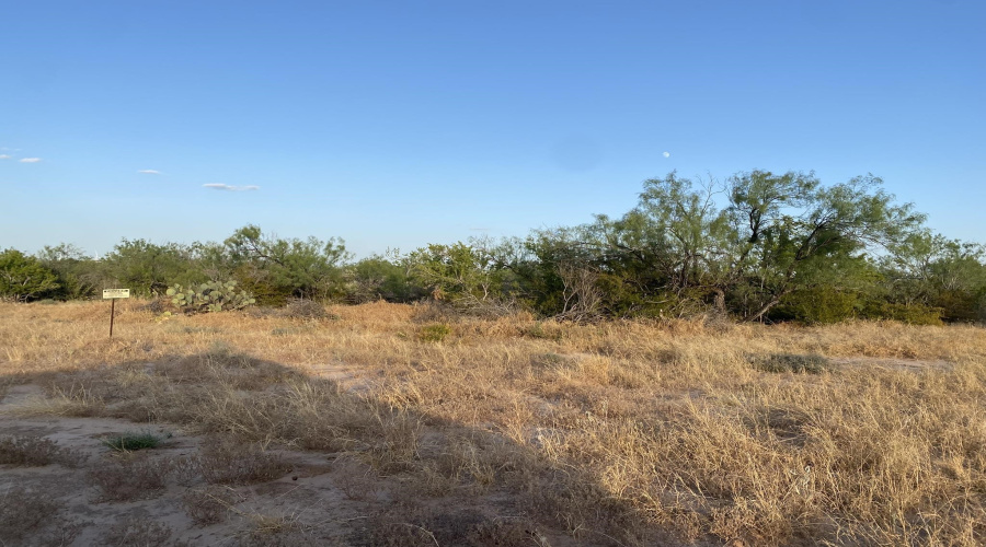 2817 Ranch Rd, San Ygnacio, Texas 78067, ,Land,For Sale,2817 Ranch Rd,20264044