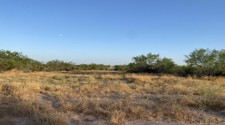2818 Ranch Rd, San Ygnacio, Texas 78067, ,Land,For Sale,2818 Ranch Rd,20264045