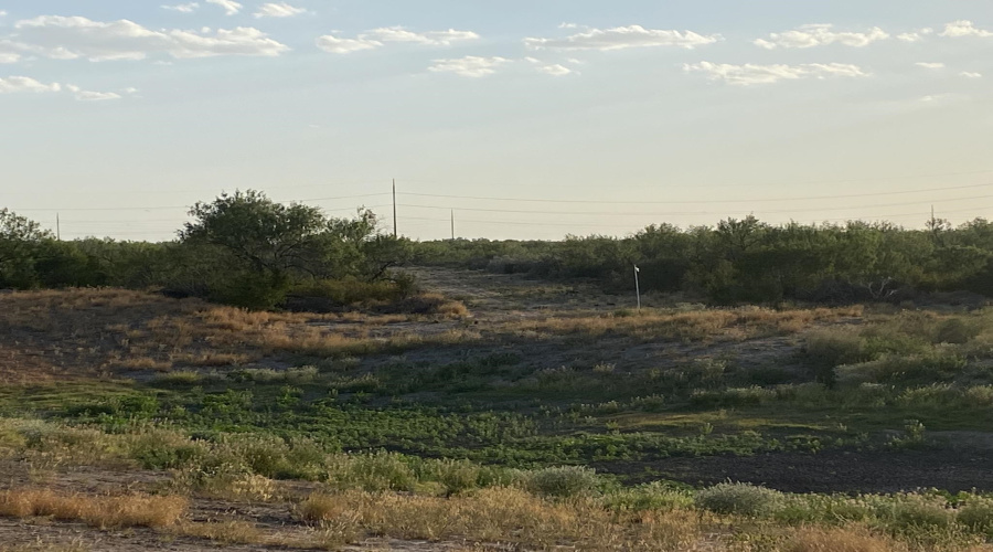 2818 Ranch Rd, San Ygnacio, Texas 78067, ,Land,For Sale,2818 Ranch Rd,20264045